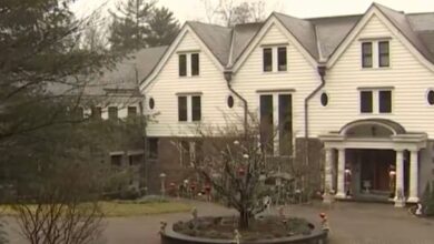 Teena Kamal and Family Killed in Dover A Tribute to Ariana Kamal, and Rakesh Kamal, Who Died in a Murder-Suicide