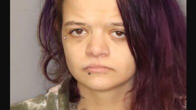 Who Is Emily Rose Cochran The Woman Who Killed an Innocent Driver Michaya Parker While Fleeing Police