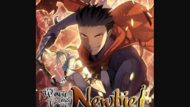 Worn And Torn Newbie Chapter 164