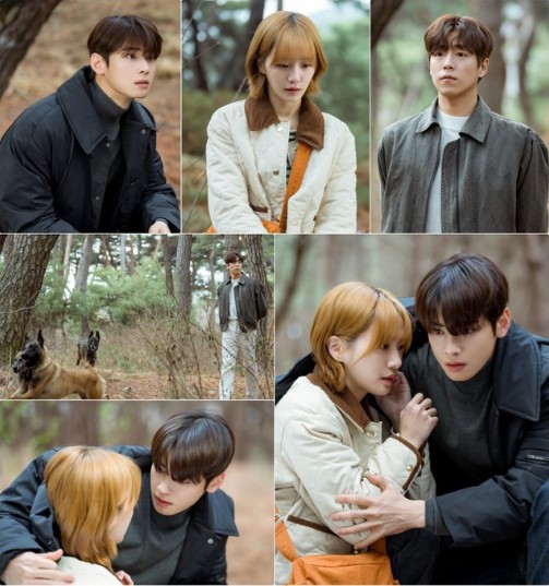 A Good Day to be a Dog Episode 13 Plot