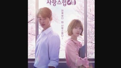 A Good Day to be a Dog Episode 13 Release Date