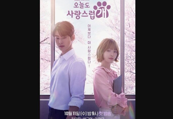 A Good Day to be a Dog Episode 13 Release Date
