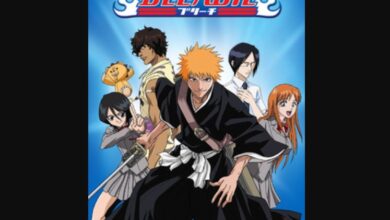 Bleach Season 17