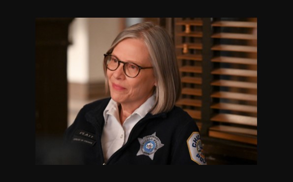 Chicago PD Season 12 Plot