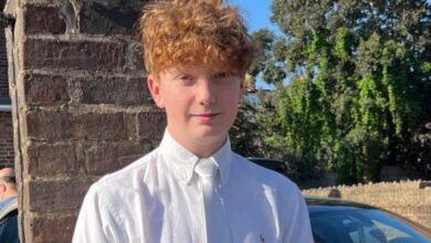Harry Pitman Died The 16-Year-Old Boy Who Was Stabbed to Death on New Year’s Eve in Primrose Hill