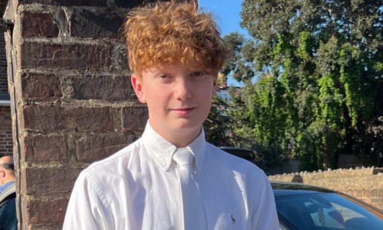 Harry Pitman Died The 16-Year-Old Boy Who Was Stabbed to Death on New Year’s Eve in Primrose Hill