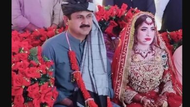 Jamshed Dasti Wife, Children, What Happened To His Spouse, Son, Family