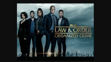 Law And Order Organized Crime Season 4