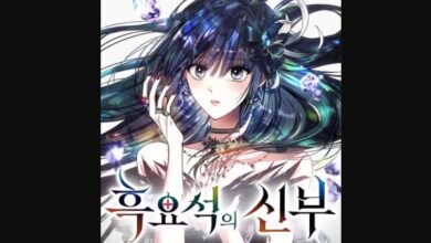 Obsidian Bride Chapter 29