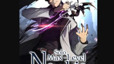Solo Max Level Newbie Chapter 138 Release Date