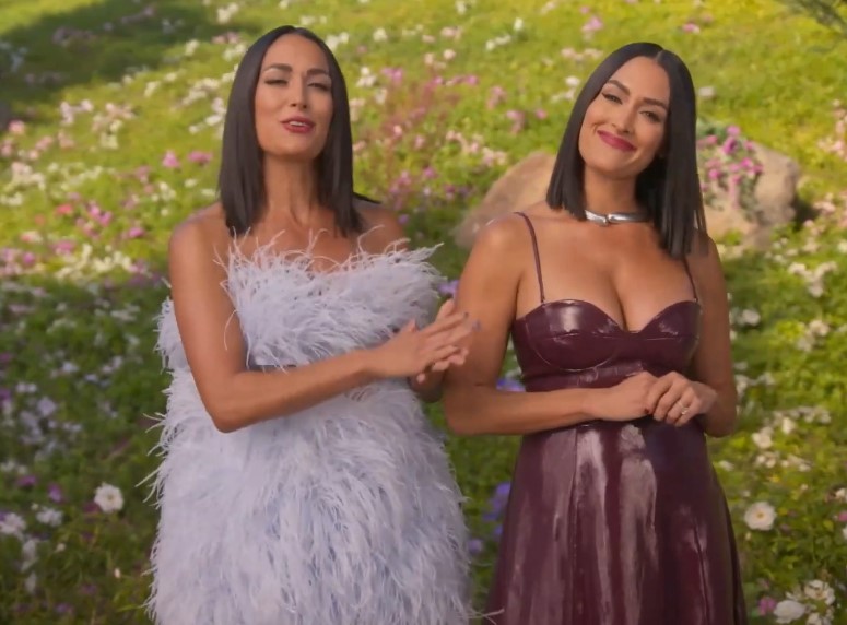 Twin Love Season 2 plot