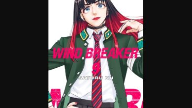 Wind Breaker Chapter 480