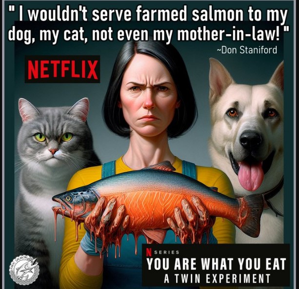 You Are What You Eat A Twin Experiment Season 2 Spoiler