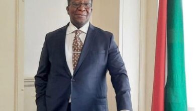 vusi madonsela