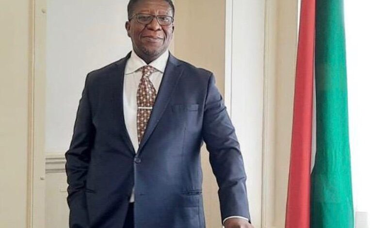 vusi madonsela