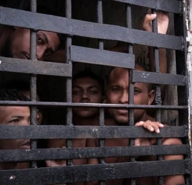 Jellyfish Arms Jail Video 1