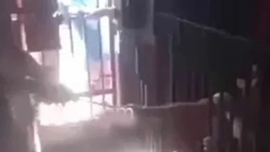 Jellyfish Arms Jail Video