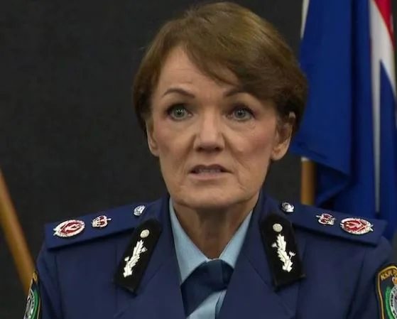 Karen Webb bio