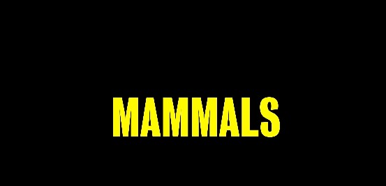 Mammals Season 2 Release Date