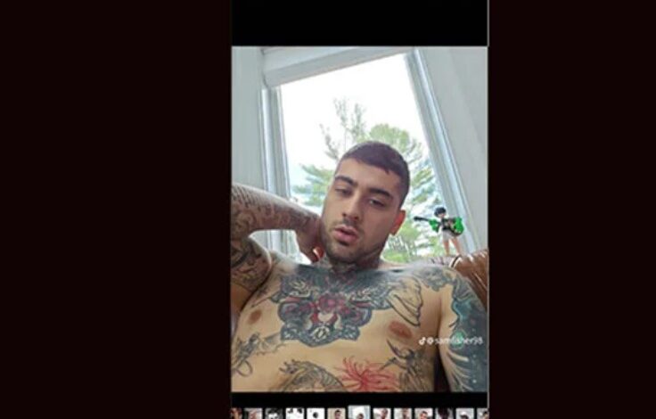 Zayn Malik’s Dating Profile Goes Viral Chats Screenshot Leaked Online