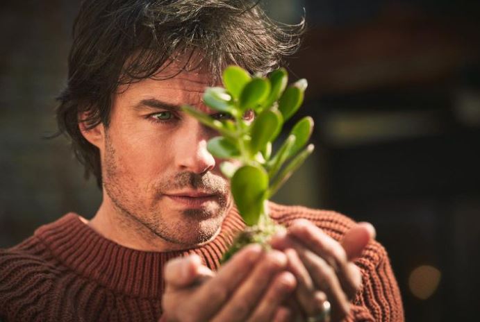 Ian Somerhalder bio