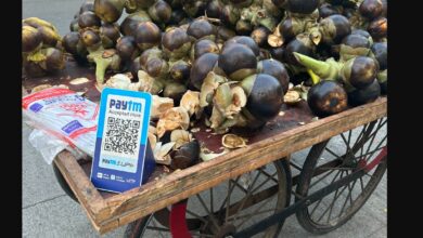 Indians Can Now Pay with UPI in Nepal A Landmark Achievement for Digital Payments