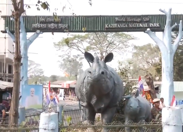 Kaziranga A Wildlife Wonderland