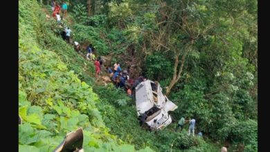 Tragedy Strikes Tamil Nadu Tourist Vehicle Overturns in Kerala, Leaving Three Dead and Fourteen Injured